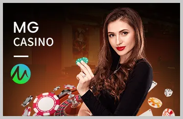 Người chơi phân tích chiến kê trước khi đặt cược